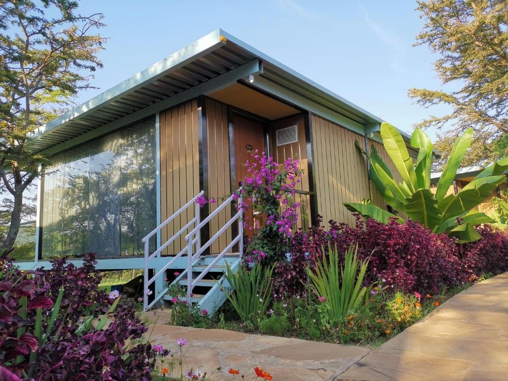 هتل جامبو مارا سافاری لاج